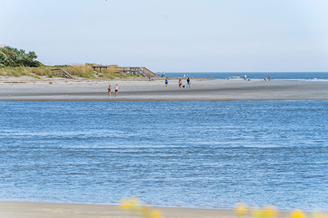 Beach View of Sullivan's Island SC