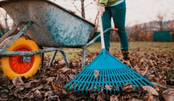 Things You Should Do to Get Your Lawn Ready for Winter